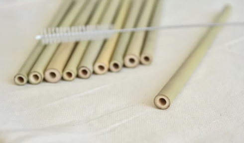 Bamboo Straws (10 pack)
